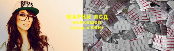 прущие грибы Коряжма