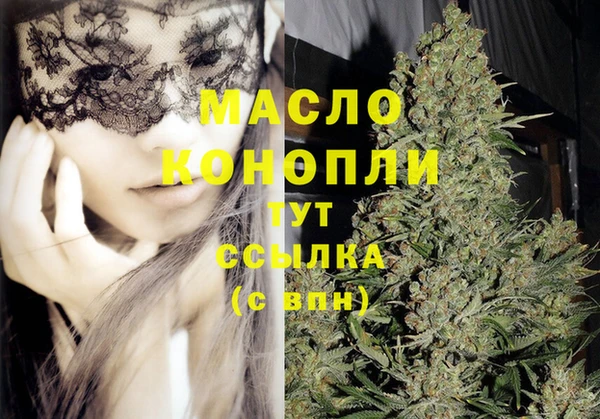 прущие грибы Коряжма