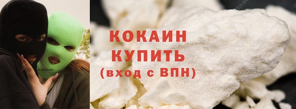 прущие грибы Коряжма