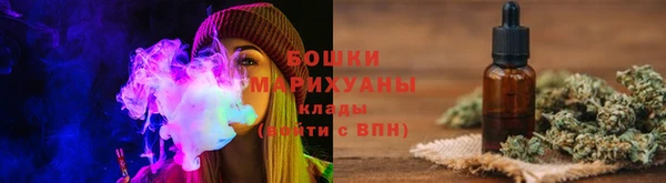 прущие грибы Коряжма