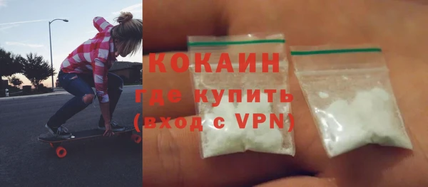 прущие грибы Коряжма