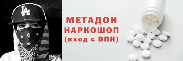 прущие грибы Коряжма