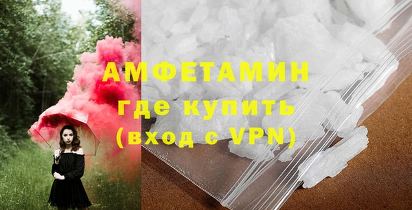 прущие грибы Коряжма