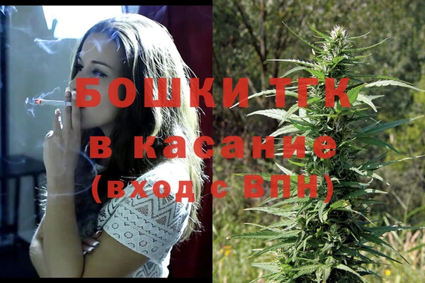 прущие грибы Коряжма