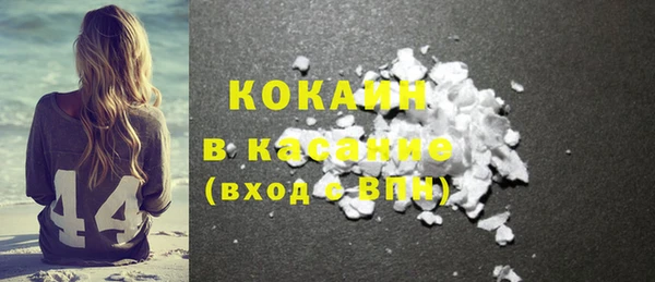 прущие грибы Коряжма